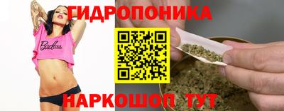 дживик Кингисепп