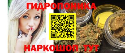 дживик Кингисепп