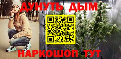 гидропоника Камышлов