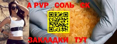 дживик Кингисепп