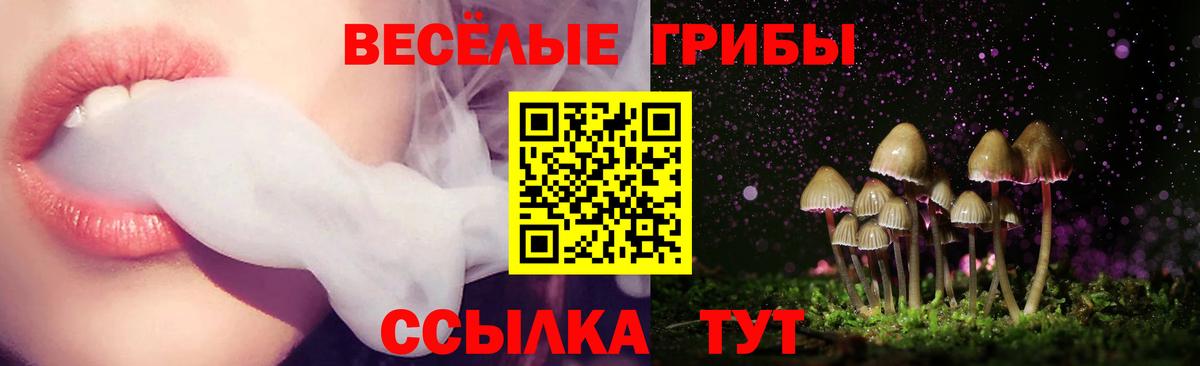 Псилоцибиновые грибы ЛСД  Вход с VPN  Псилоцибиновые грибы мицелий  Красный Сулин 